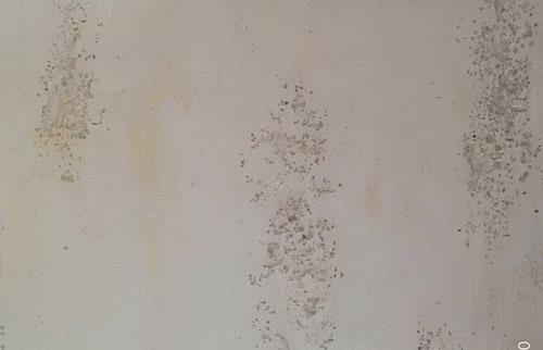 20210531160304_244.jpg 20210531160304_244.jpg